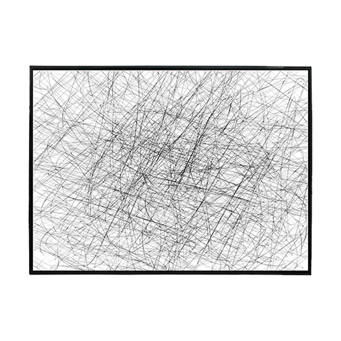 Cuadro Arte Telaraña